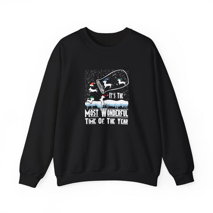 Dachshund Snow Globe Sweatshirt | Wonderful Wiener Time