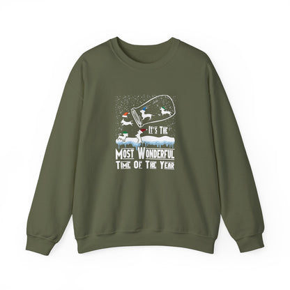 Dachshund Snow Globe Sweatshirt | Wonderful Wiener Time