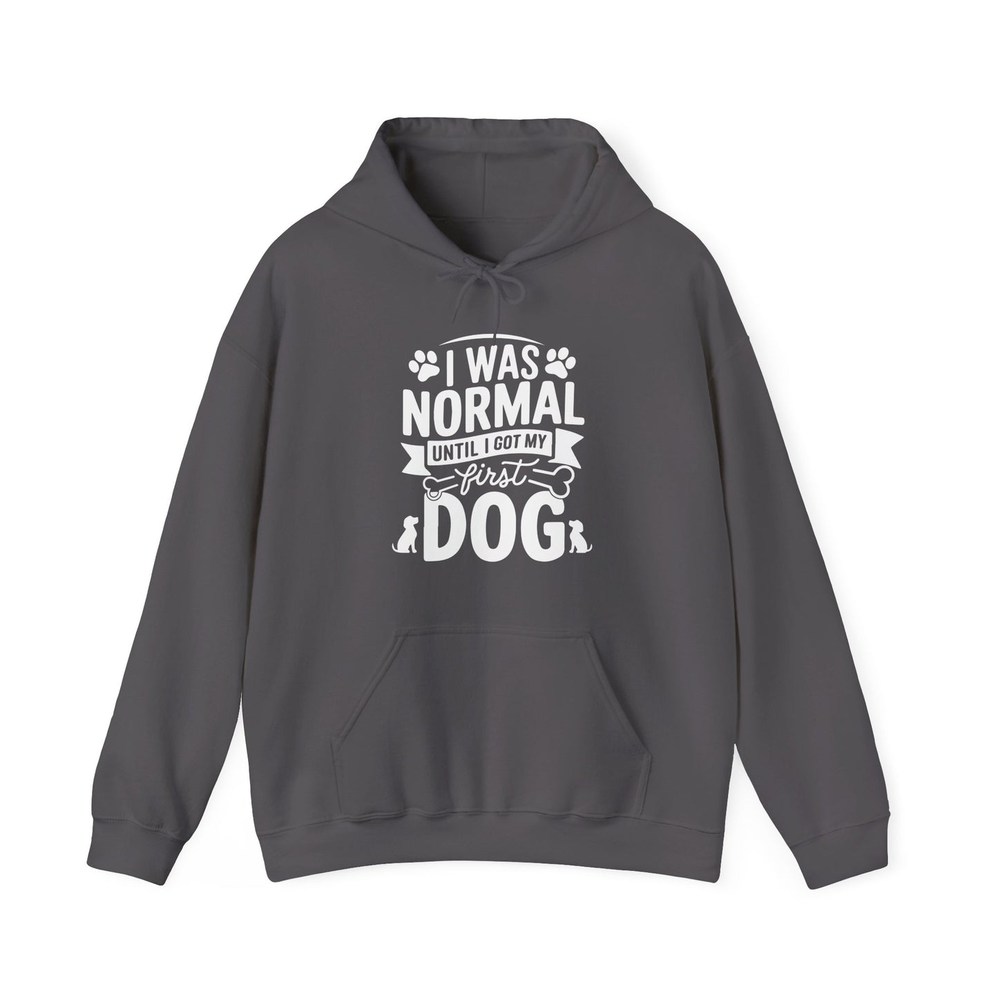 Funny First Dog Hoodie | I Was Normal Pet Lover Sweatshirt