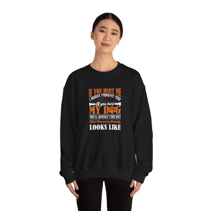 If You Hurt My Dog Sweatshirt | Dog  Protector Funny