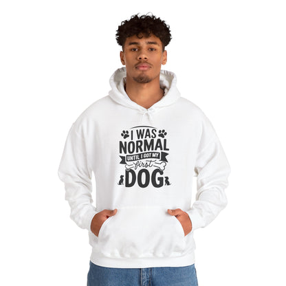 Funny First Dog Hoodie | I Was Normal Pet Lover Sweatshirt