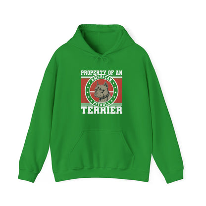 Property of an American Pit Bull Terrier Hoodie