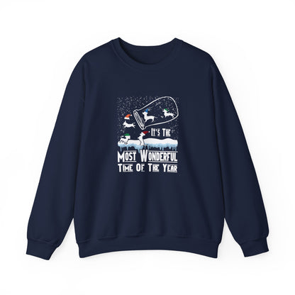 Dachshund Snow Globe Sweatshirt | Wonderful Wiener Time