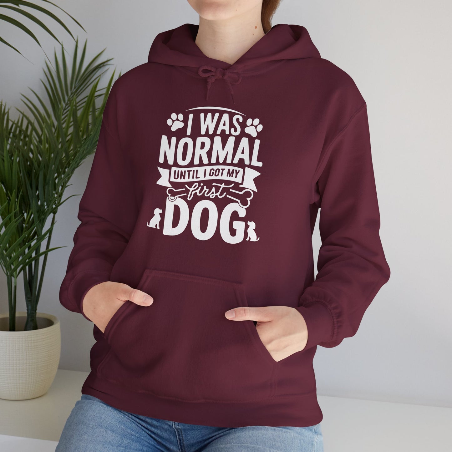 Funny First Dog Hoodie | I Was Normal Pet Lover Sweatshirt
