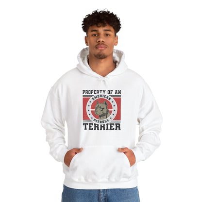 Property of an American Pit Bull Terrier Hoodie