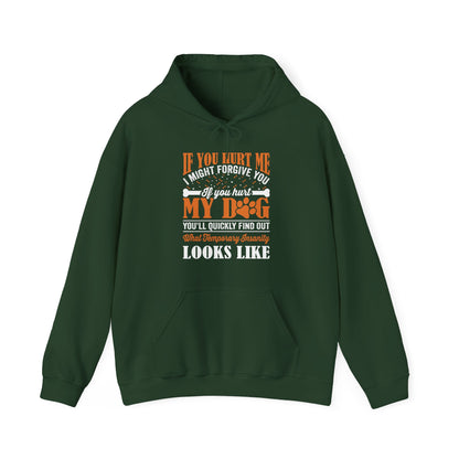 If You Hurt My Dog Hoodie | Dog  Protector Funny