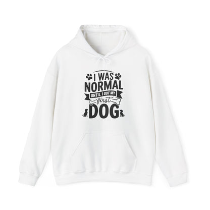 Funny First Dog Hoodie | I Was Normal Pet Lover Sweatshirt