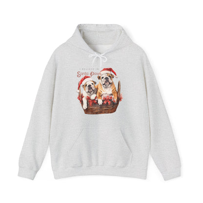 I Believe in Santa Paws Unisex Hoodie