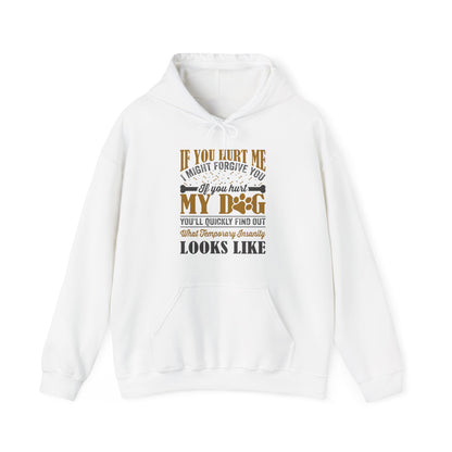 If You Hurt My Dog Hoodie | Dog  Protector Funny
