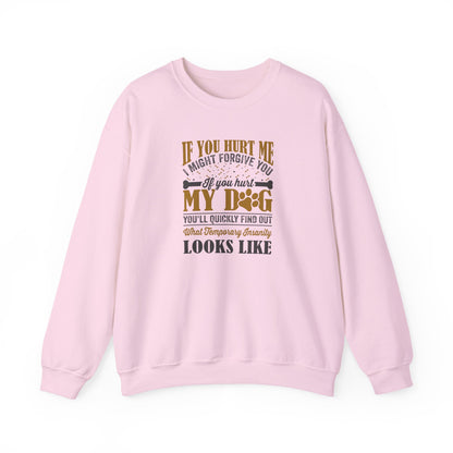 If You Hurt My Dog Sweatshirt | Dog  Protector Funny