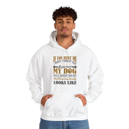 If You Hurt My Dog Hoodie | Dog  Protector Funny