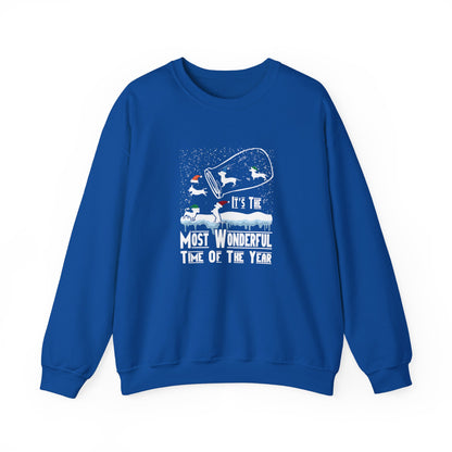 Dachshund Snow Globe Sweatshirt | Wonderful Wiener Time