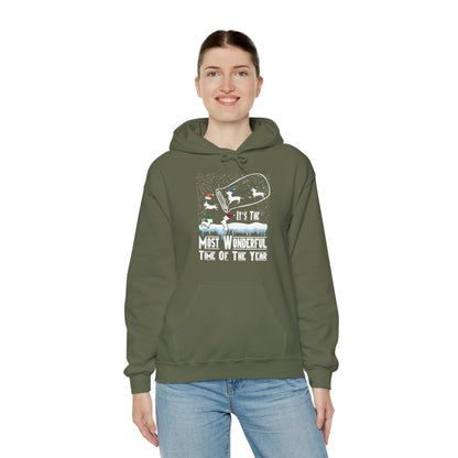 Dachshund Snow Globe Hoodie | Most Wonderful Time