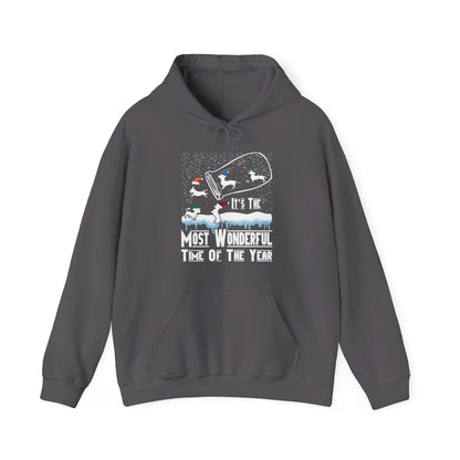 Dachshund Snow Globe Hoodie | Most Wonderful Time