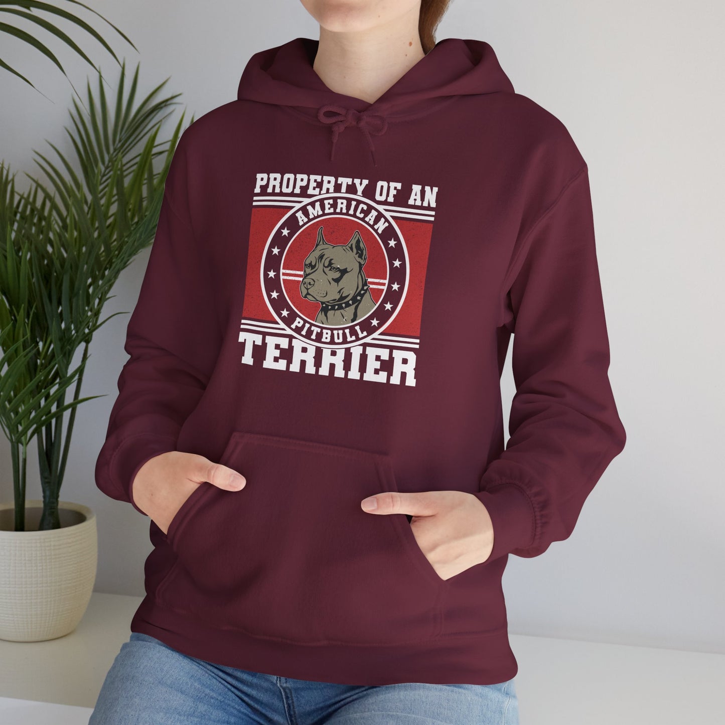Property of an American Pit Bull Terrier Hoodie