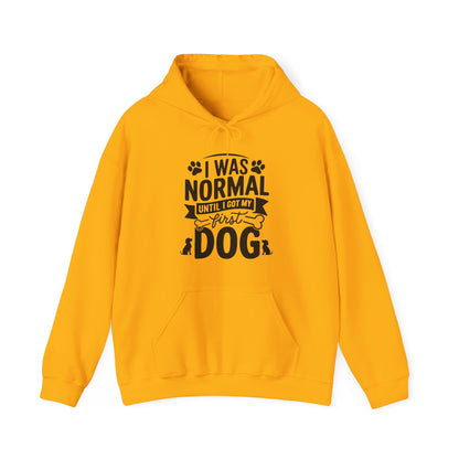 Funny First Dog Hoodie | I Was Normal Pet Lover Sweatshirt
