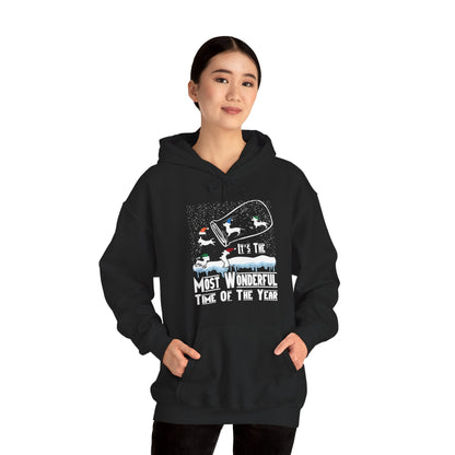 Dachshund Snow Globe Hoodie | Most Wonderful Time
