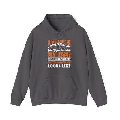 If You Hurt My Dog Hoodie | Dog  Protector Funny