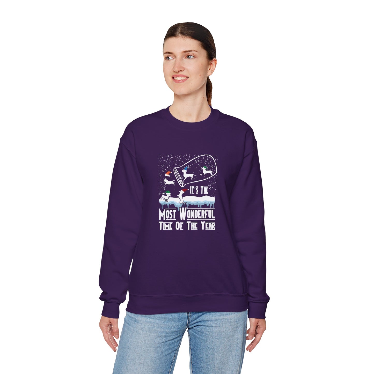 Dachshund Snow Globe Sweatshirt | Wonderful Wiener Time
