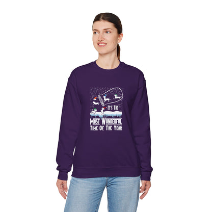 Dachshund Snow Globe Sweatshirt | Wonderful Wiener Time