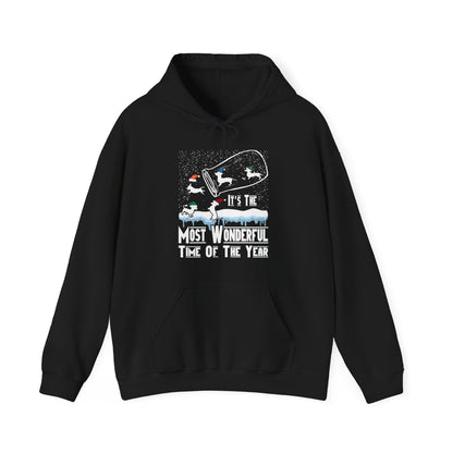 Dachshund Snow Globe Hoodie | Most Wonderful Time