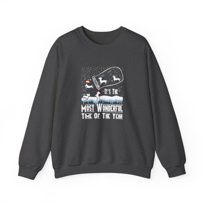 Dachshund Snow Globe Sweatshirt | Wonderful Wiener Time