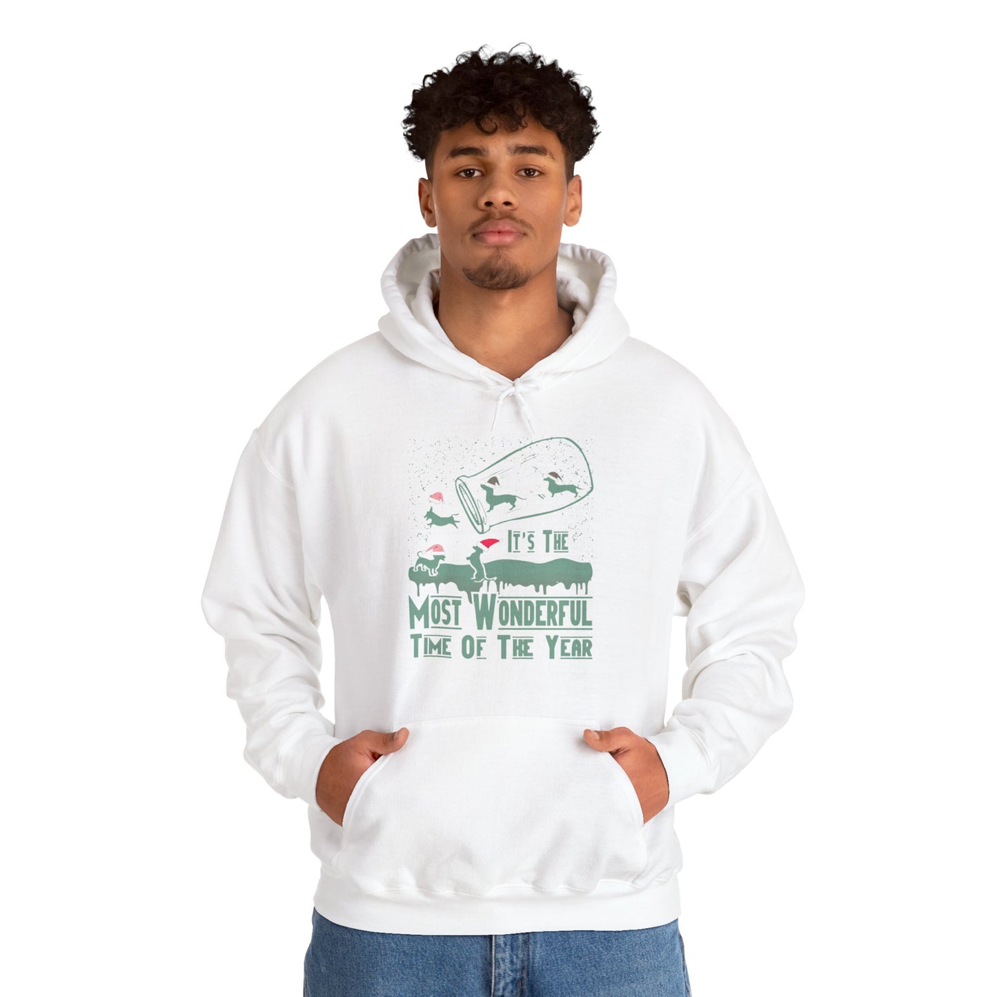 Dachshund Snow Globe Hoodie | Most Wonderful Time