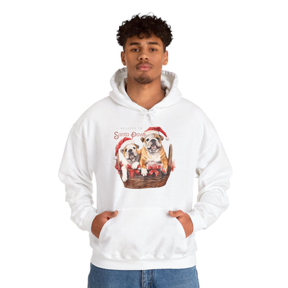 I Believe in Santa Paws Unisex Hoodie