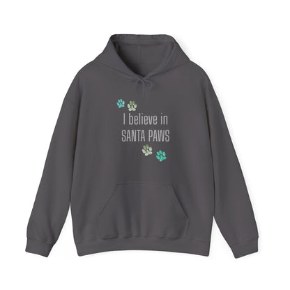 I Believe in Santa Paws Unisex Dog Lover Hoodie