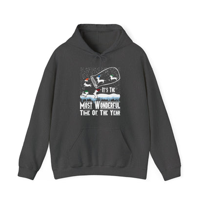 Dachshund Snow Globe Hoodie | Most Wonderful Time