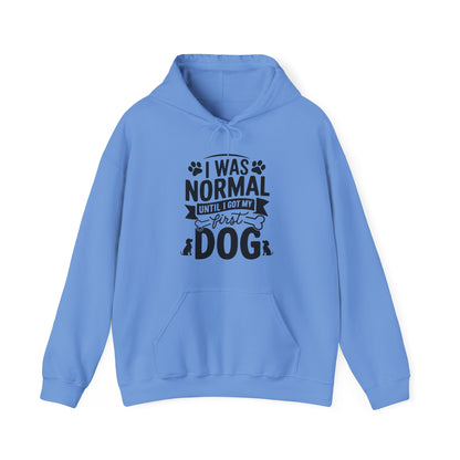 Funny First Dog Hoodie | I Was Normal Pet Lover Sweatshirt