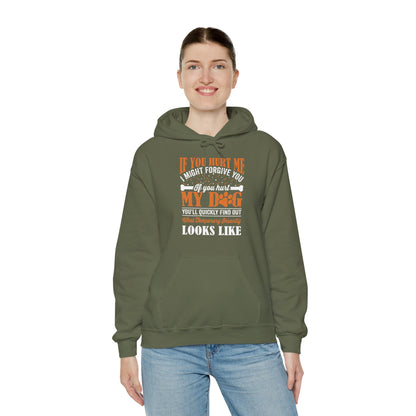 If You Hurt My Dog Hoodie | Dog  Protector Funny