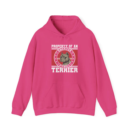 Property of an American Pit Bull Terrier Hoodie