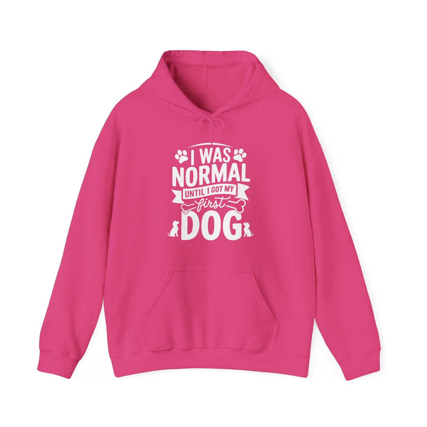 Funny First Dog Hoodie | I Was Normal Pet Lover Sweatshirt