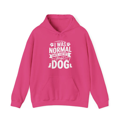 Funny First Dog Hoodie | I Was Normal Pet Lover Sweatshirt
