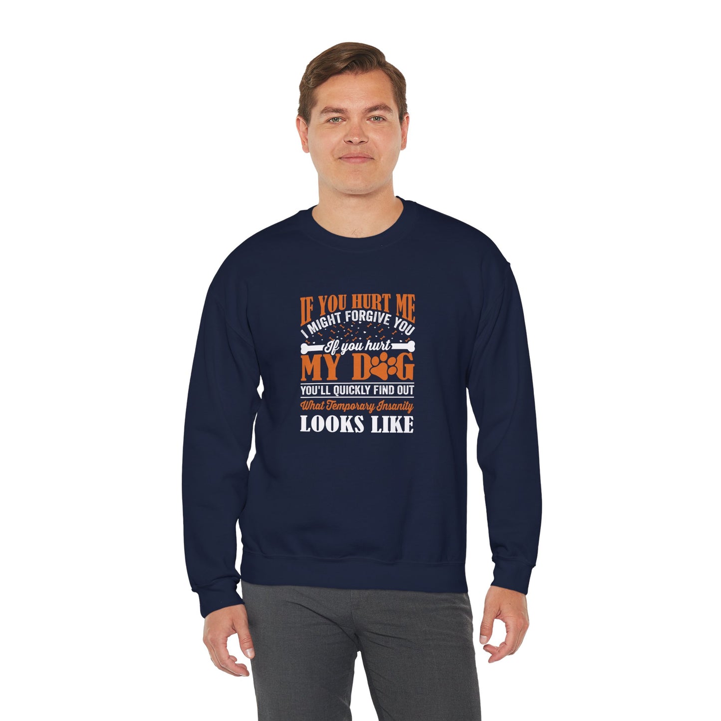 If You Hurt My Dog Sweatshirt | Dog  Protector Funny