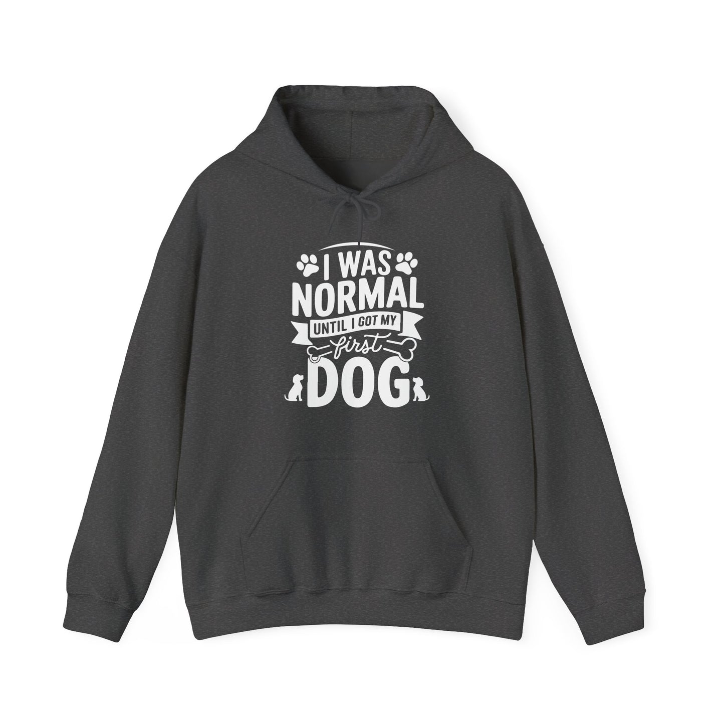 Funny First Dog Hoodie | I Was Normal Pet Lover Sweatshirt