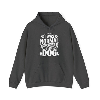 Funny First Dog Hoodie | I Was Normal Pet Lover Sweatshirt