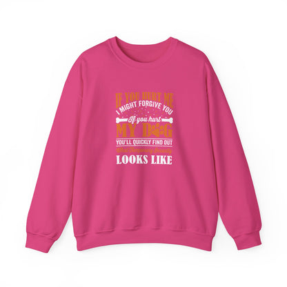If You Hurt My Dog Sweatshirt | Dog  Protector Funny